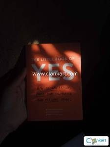 THE LITTLE BOOK OF YES