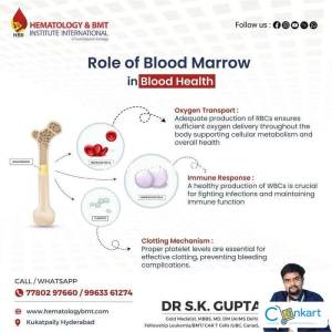 Telehealth for Bone Marrow Transplant Patients  Expert Care from Anyw