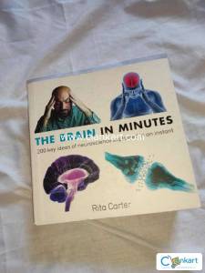 The Brain In Minutes - Rita Carter