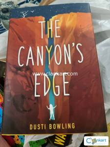 The Canyon's Edge