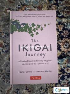The Ikigai Journey