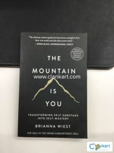 The Mountain Is You: IND-9355434146