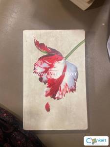 The New Moon-Stephenie Meyer