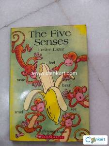 The five senses