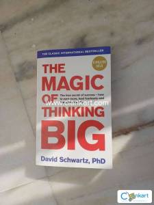 The magic of thinking big