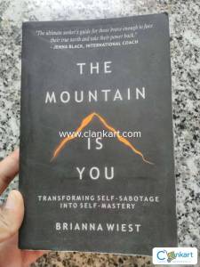 The mountain is you by Brianna wiest