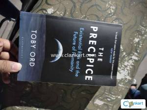 The precipice