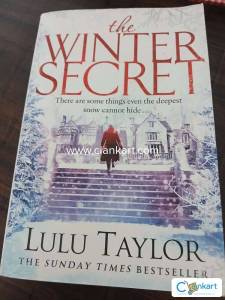 The winter secret. mystery Novel