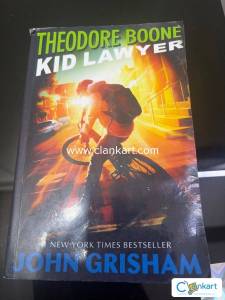 Theodore Boone Kid Lawer
