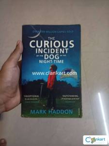 This is a fiction book