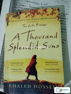 Thousand splendid suns