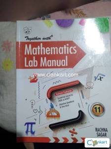 Together with Maths Lab Manual Class XI CBSE