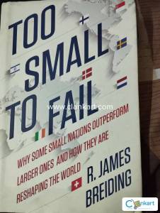 Too small to fail