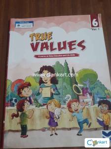 True Values 6 Ver.1