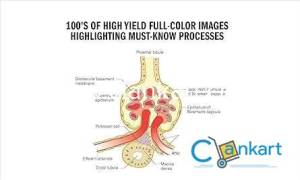 USMLE STEP 1 LECTURE NOTES 2024-2025: 7-BOOK PRECLINICAL REVIEW