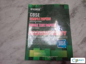 U like sample paper class 12 accounts