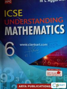 Understanding mathematics (ICSE)