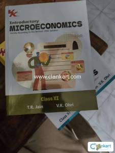 VK global  introductory microeconomics