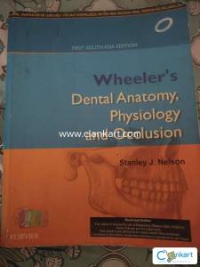 Wheeler's Dental Anatomy, Physiology and Occlusion of first year