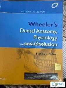 Wheelers Dental anatomy