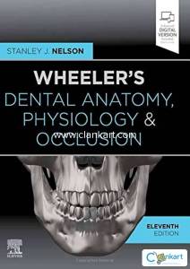Wheelers Dental anatomy