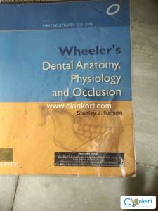 Wheelers dental anatomy