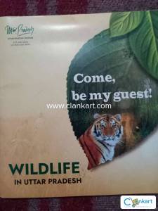 Wildlife in uttar Pradesh