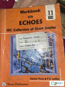 Workbook on Echoes
