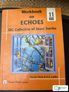 Workbook on Echoes class 11