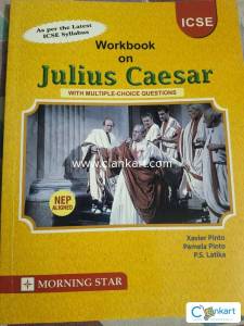 Workbook on Julius Caesar (MORNING STAR)