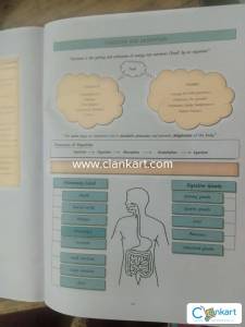 XYLEM NEET Biology Notes