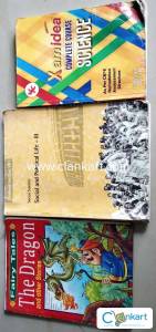 Xam Idea,Social and political Life,The Dragons