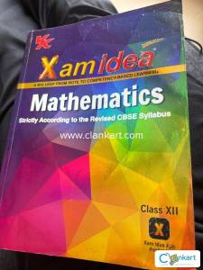 Xam ideas maths