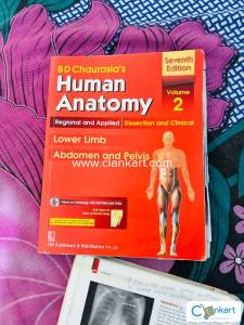 anatomy bd chaurasai