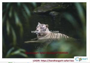 bandhavgarh Safari ticket
