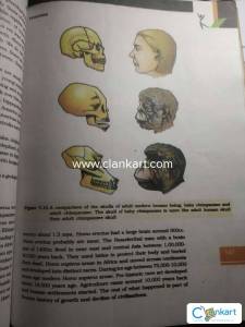 class 12 ncert biology english medium