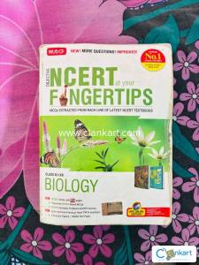ncert fingertips