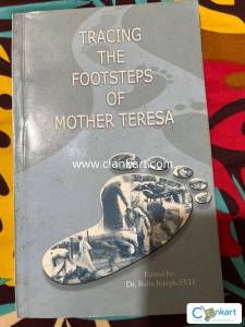 novel about mother teresa